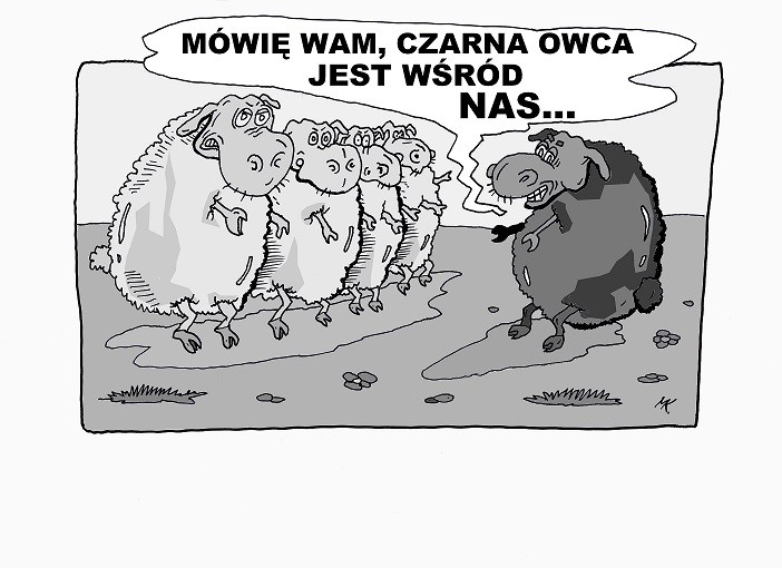 https://www.polskacanada.com/wp-content/uploads/2015/02/czarna-owca.jpg