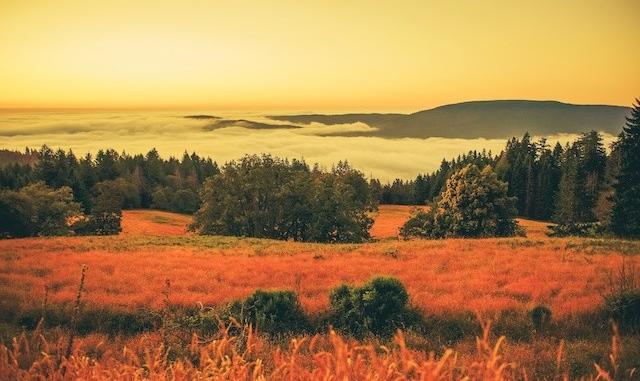 Foggy Landscape at Sunset