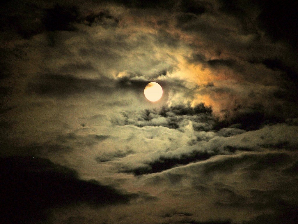 Fruit-Moon